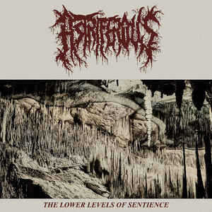 Astriferous ‎- The Lower Levels Of Sentience NEW METAL LP