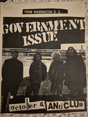 $15 PUNK FLYER - (11x8.5) Government Issue