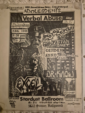 $15 PUNK FLYER - (11x8.5) Verbal Abuse Adolescents Dr Know
