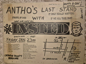 $15 PUNK FLYER - (11x8.5) Insted