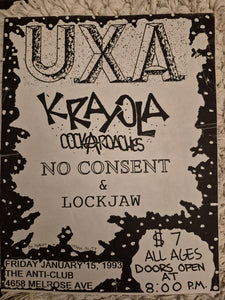 $15 PUNK FLYER - (11x8.5) UXA