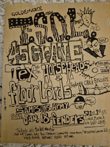 $15 PUNK FLYER - (11x8.5) TSOL 45 Grave