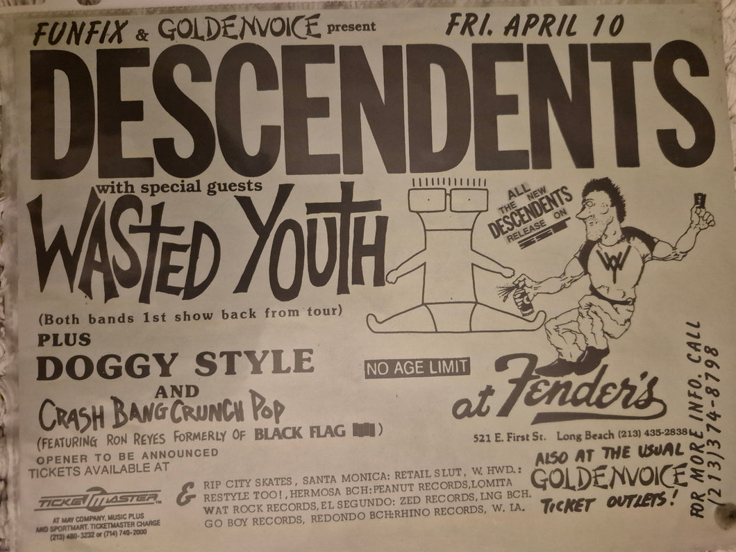 $20 PUNK FLYER  (8.5 x 11) Descendents Wasted Youth