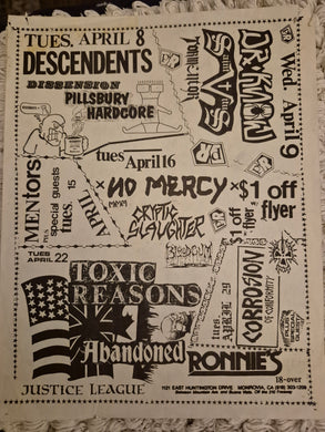 $20 PUNK FLYER  (8.5 x 11) Toxic Reasons Descendents Dr Know Mentors