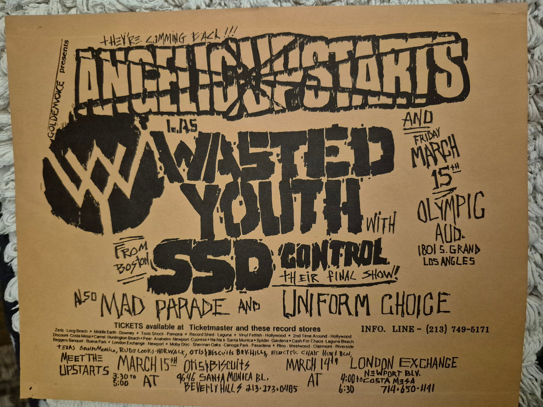 $20 PUNK FLYER  (8.5 x 11) Angelic Upstarts SSD Wasted Youth