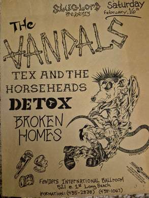 $20 PUNK FLYER  (8.5 x 11) Vandals Detox