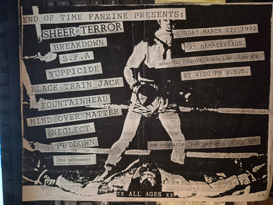 $10 PUNK FLYER - (11 x 8.5) Sheer Terror