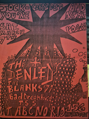 $10 PUNK FLYER - (11 x 8.5) Denied Blanks 77