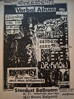 $15 PUNK FLYER - (11x8.5) Adolescents Verbal Abuse