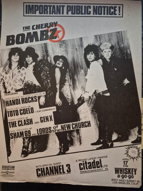 $15 PUNK FLYER - (11x8.5) Cherry Bombz