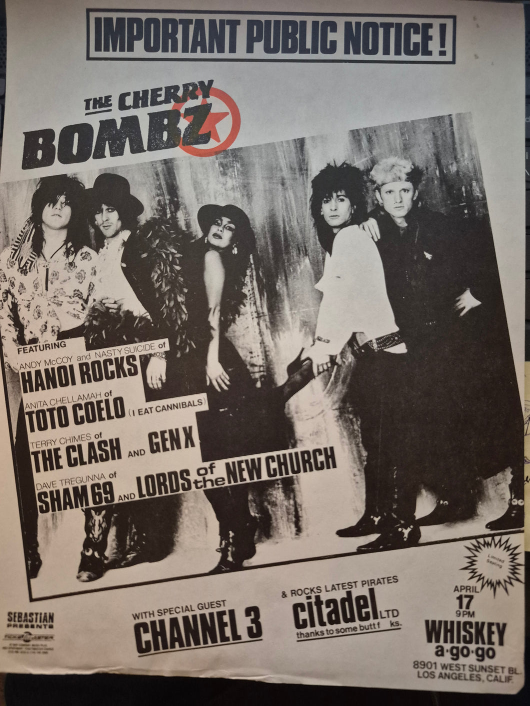 $15 PUNK FLYER - (11x8.5) Cherry Bombz
