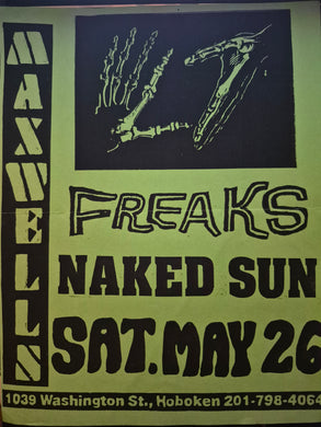 $15 PUNK FLYER - (11x8.5) L7