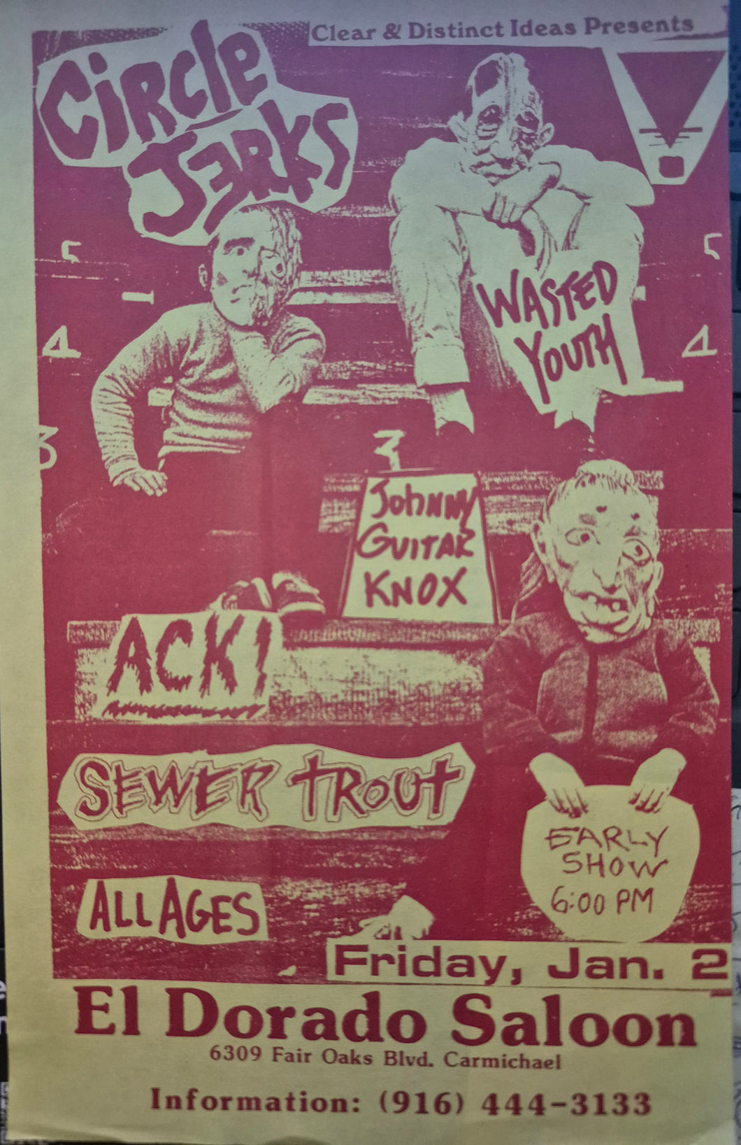 $20 PUNK FLYER  (8.5 x 4.5) Circle Jerks Wasted Youth