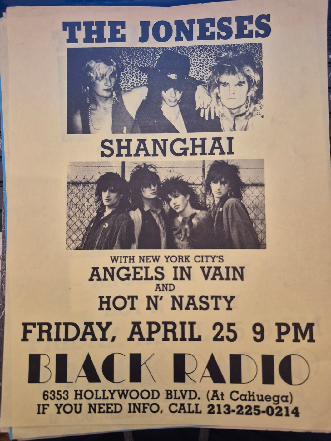 $20 PUNK FLYER  (8.5 x 11) Joneses