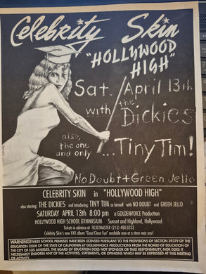$30 PUNK FLYER - (8.5x11) Dickies No Doubt