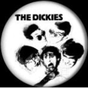 DICKIES button (1 inch)