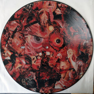 Carcass - Symphonies Of Sickness USED METAL LP (pic disc)