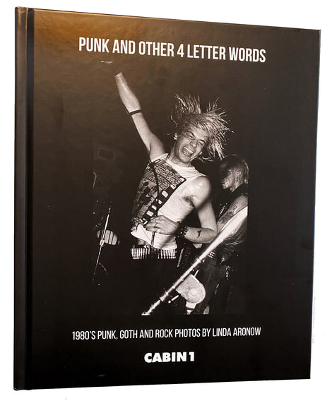 Punk and Other Four Letter Words By Linda Aronow NEW BOOK