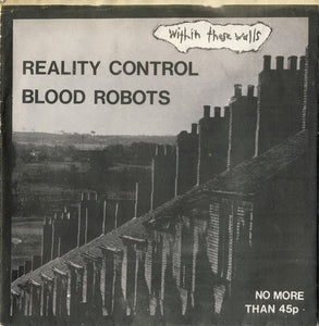 Blood Robots / Reality Control - Within These Walls USED 7" (flexi)