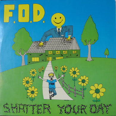 Flag Of Democracy - Shatter Your Day USED LP