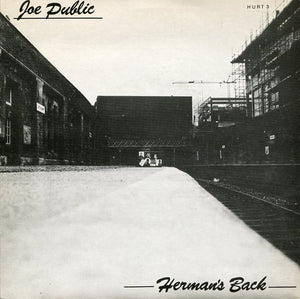 Joe Public - Hermans Back USED 7"