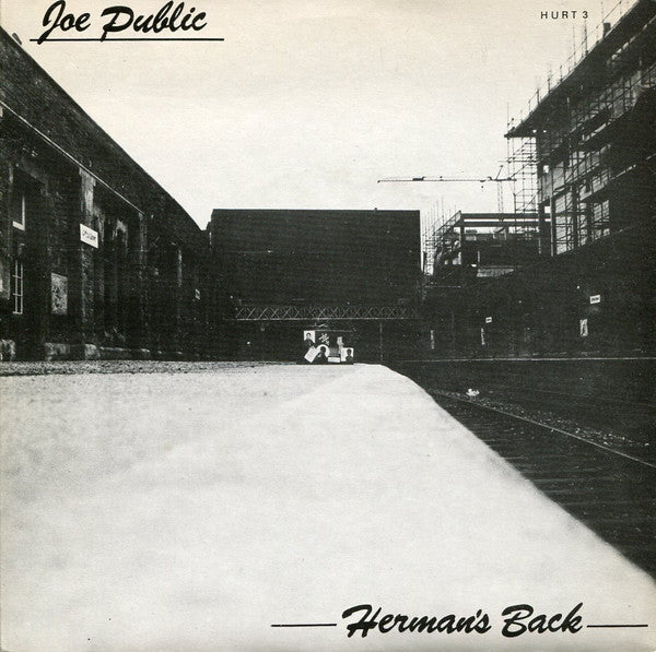 Joe Public - Hermans Back USED 7