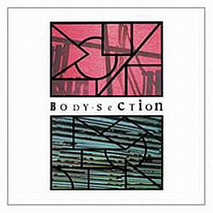 Comp - Body Section NEW POST PUNK / GOTH LP