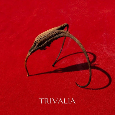 Trivalia - Crna Voda NEW POST PUNK / GOTH 2xLP