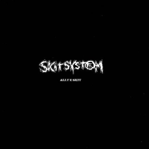 Skitsystem - Allt E Skit NEW LP