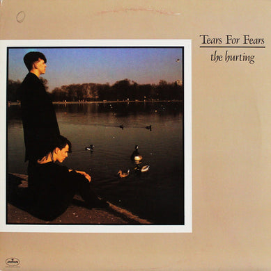 Tears For Fears - The Hurting USED POST PUNK / GOTH LP (ger)