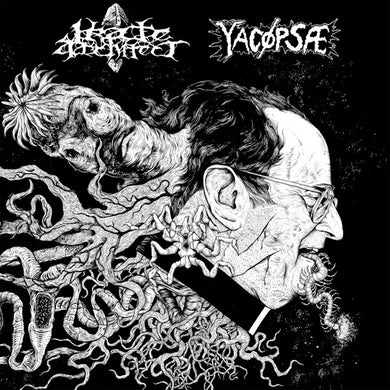 Yacøpsæ / Irate Architect - Split USED CD