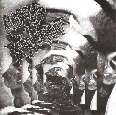 Haggus / Recalcitrant - Split USED 7
