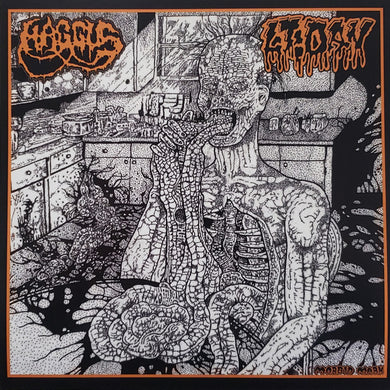 Haggus / Lt. Dan - Split USED 7
