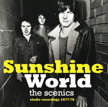 Scenics, The - In the Summer NEW LP