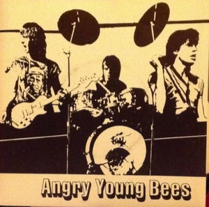 Angry Young Bees - Crossfire USED 7"