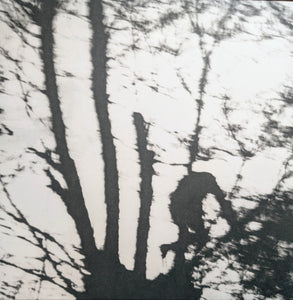 Cindytalk - Camouflage Heart NEWPOST PUNK / GOTH LP