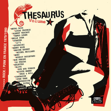 Comp - Thesaurus Volume 3 Rock / Punk En France 1979 / 1980  USED POST PUNK / GOTH 2xLP