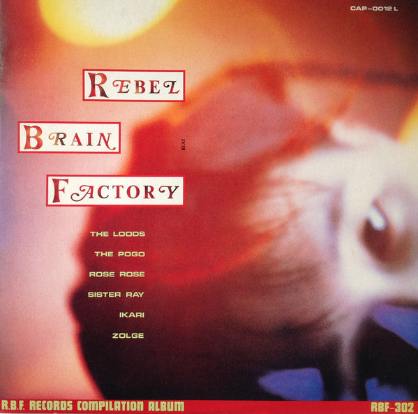 Comp - Rebel Brain Factory USED LP