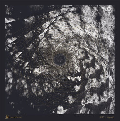 S.K.V. + Cazu-23 - 転 -Marobashi- NEW LP (sakevi/gism)