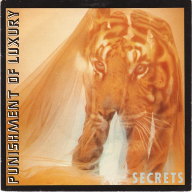 Punishment Of Luxury - Secrets USED POST PUNK / GOTH 7