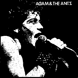 ADAM ANT back patch