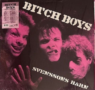 Bitch Boys - Svenssons Barn NEW LP (black vinyl)