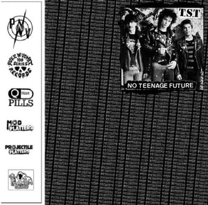 TST - No Teenage Future USED LP (test press)