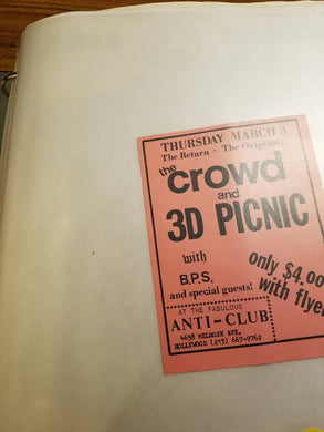 $10 PUNK FLYER - CROWD 3D PICNIC
