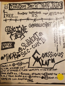 $10 PUNK FLYER - MINDROT CONSSIOUS ALARM
