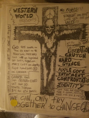 $15 PUNK FLYER