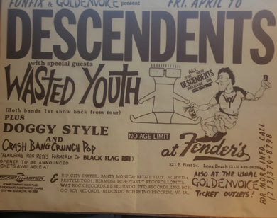 $30 PUNK FLYER - descendents wasted youth