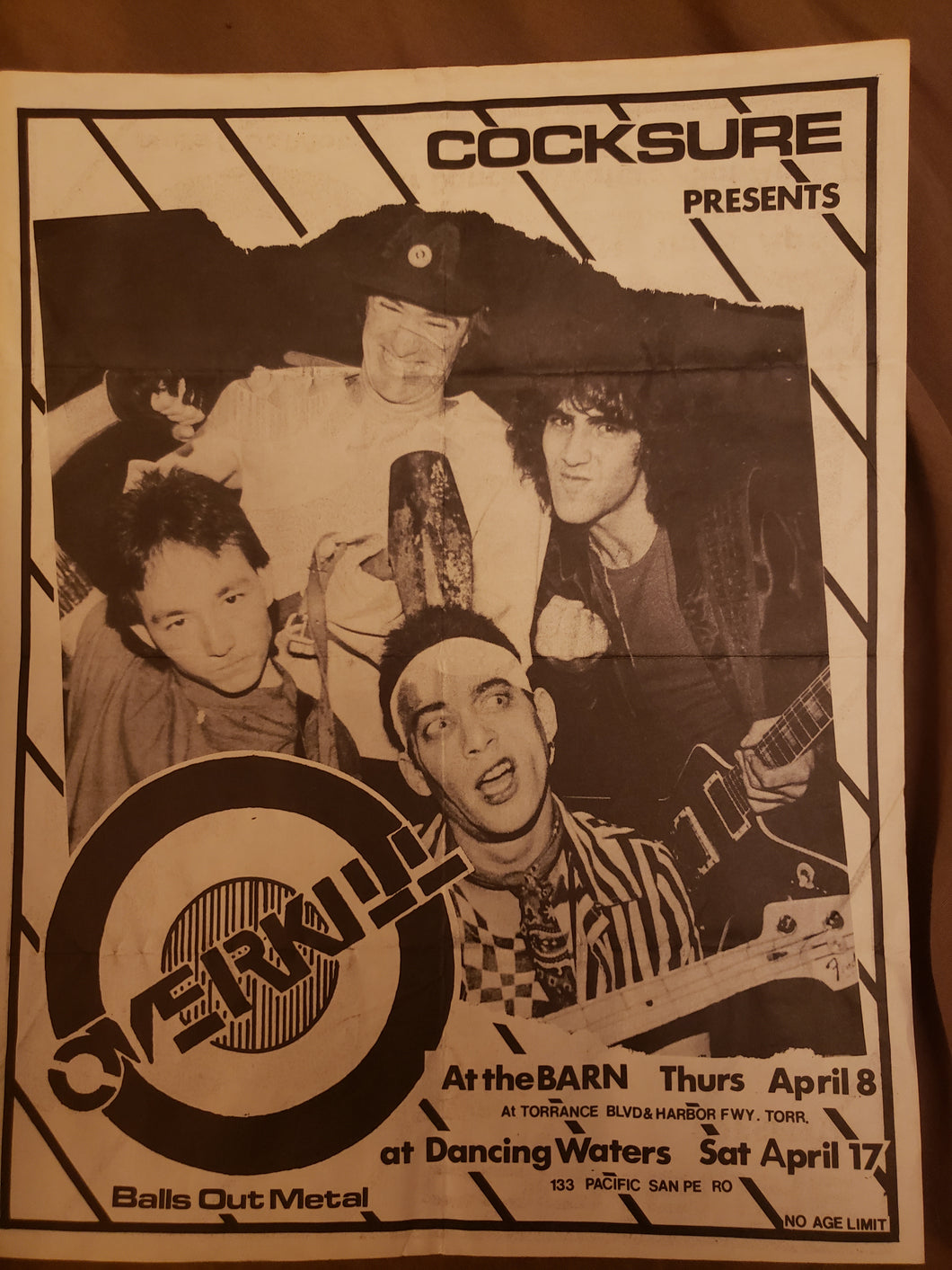 $15 PUNK FLYER - (8.5 x 11) OVERKILL