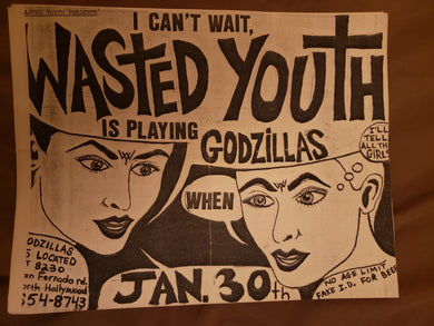 $15 PUNK FLYER - (8.5 x 11) WASTED YOUTH