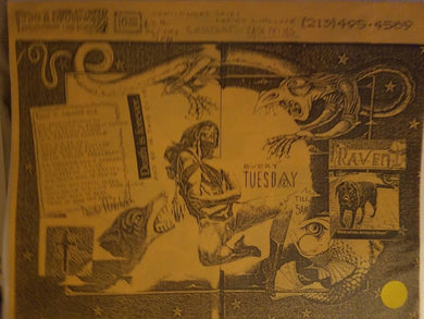 $5 PUNK FLYER - RAVEN